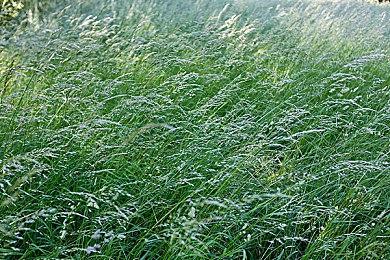 大宇资讯模拟经营游戏《拾光酒館》Steam页面上线 发售日期待定